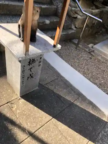 白國神社の狛犬