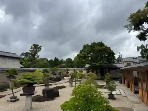 芳春院(京都府)