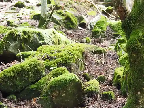 三峯神社奥宮の自然