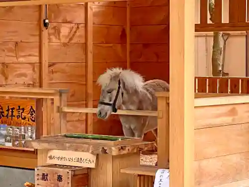 平塚八幡宮の動物