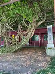 笠間稲荷神社の自然