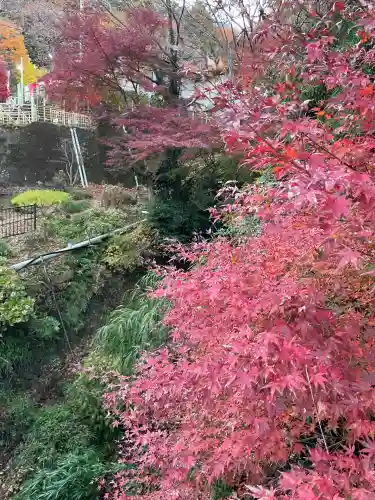 大山阿夫利神社(神奈川県)