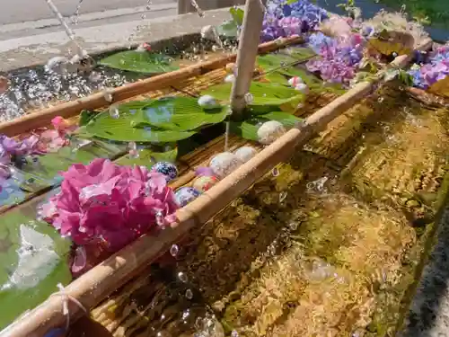 亀田八幡宮の手水