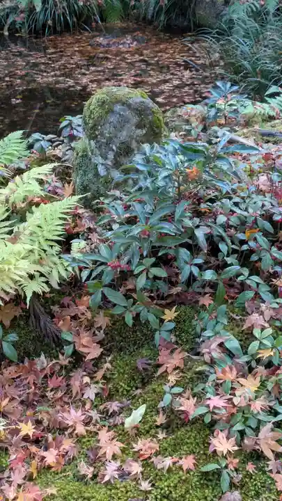 三千院門跡(京都府)