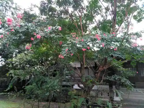 西福寺(東京都)