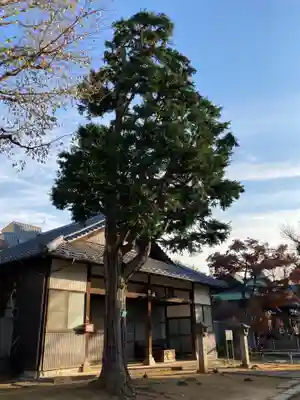 大聖院の本殿・本堂