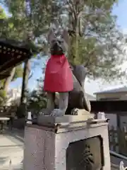 馬橋稲荷神社の狛犬