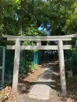 和泉國一之宮 大鳥大社の鳥居