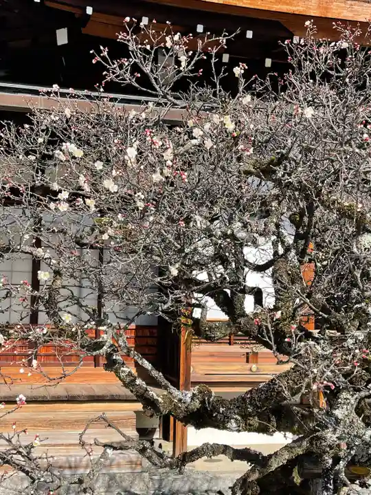 聖護院門跡の自然