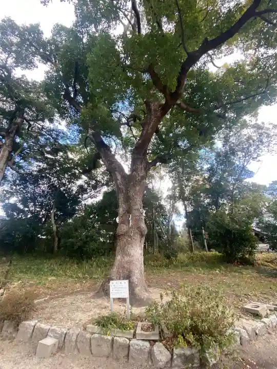 機物神社(大阪府)