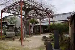 法蓮寺の自然