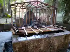 園城寺（三井寺）の手水