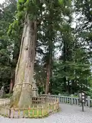 戸隠神社中社(長野県)