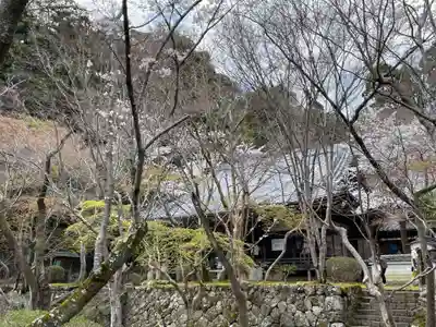 勝持寺（花の寺）(京都府)