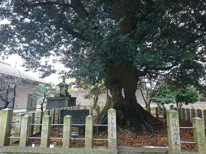 春日神社の自然