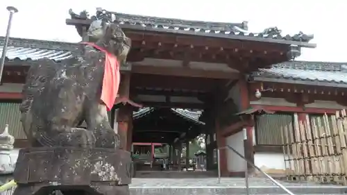 氷室神社の狛犬