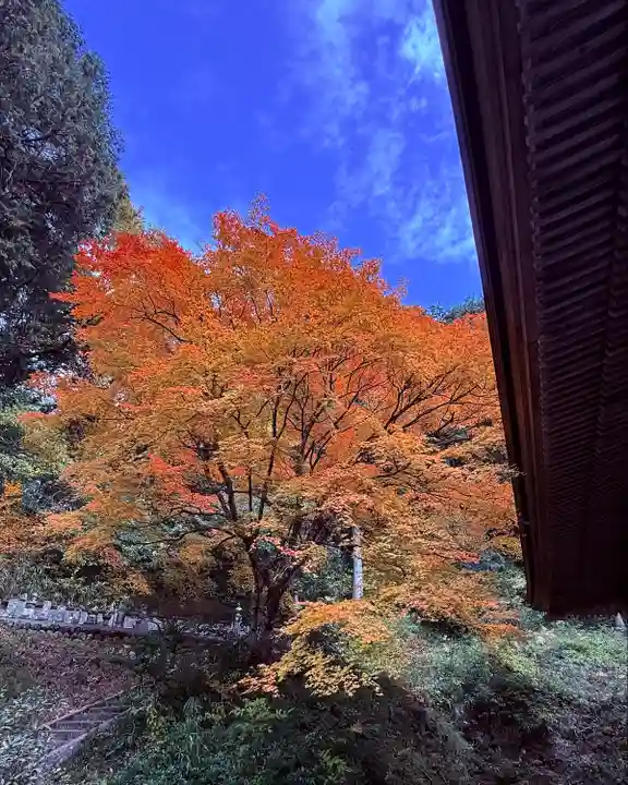 萬徳寺(福井県)