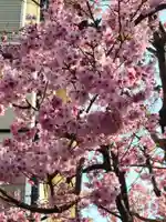 居木神社の周辺