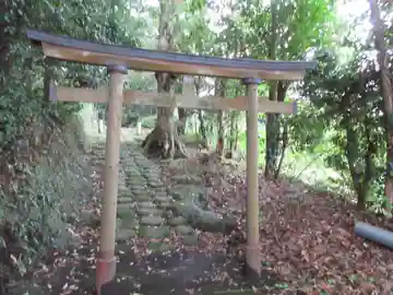 堂山神社(東京都)