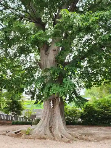 素鵞神社(茨城県)