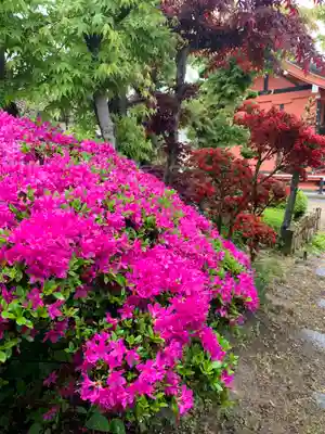 鹿股神社遥拝殿(福島県)