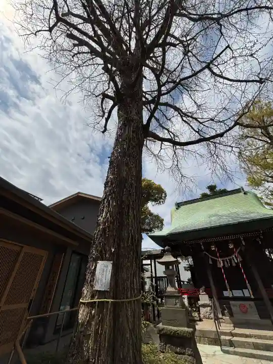 野沢稲荷神社(東京都)