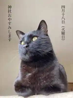 高司神社〜むすびの神の鎮まる社〜(福島県)