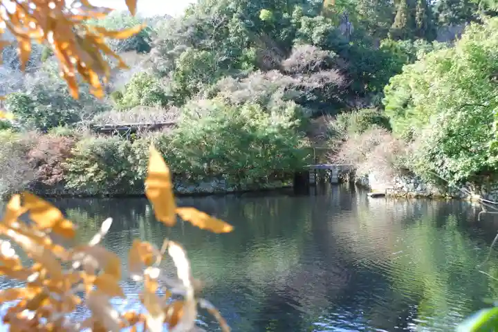 龍安寺(京都府)