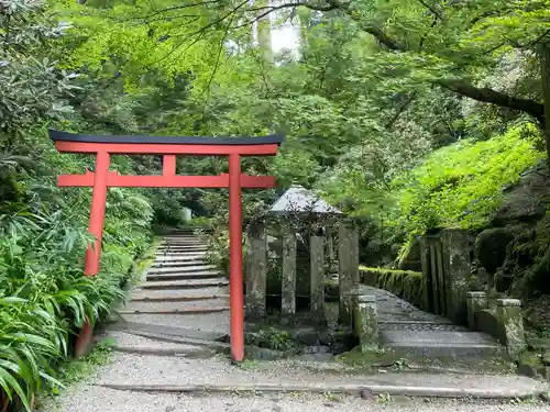 岡寺（龍蓋寺）(奈良県)