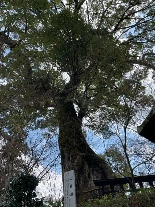 十輪寺(京都府)