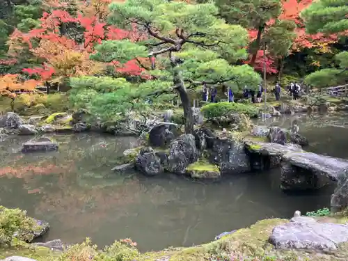 慈照寺（慈照禅寺・銀閣寺）の庭園