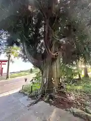 御座石神社(秋田県)