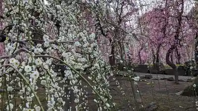 城南宮(京都府)