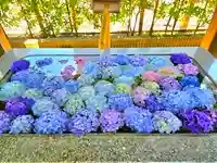 桜神宮(東京都)