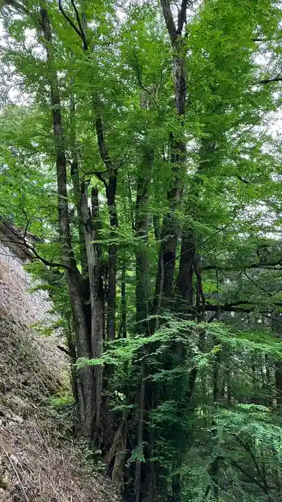 穴門山神社(岡山県)