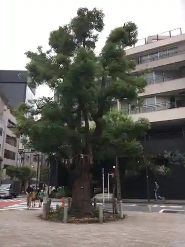 太田姫稲荷神社の自然