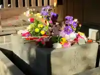 勝林寺の手水舎