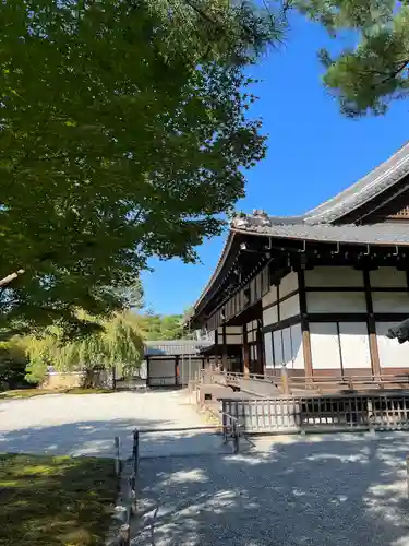 高台寺（高台寿聖禅寺・高臺寺）(京都府)