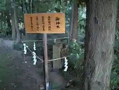 山本浅間神社の自然