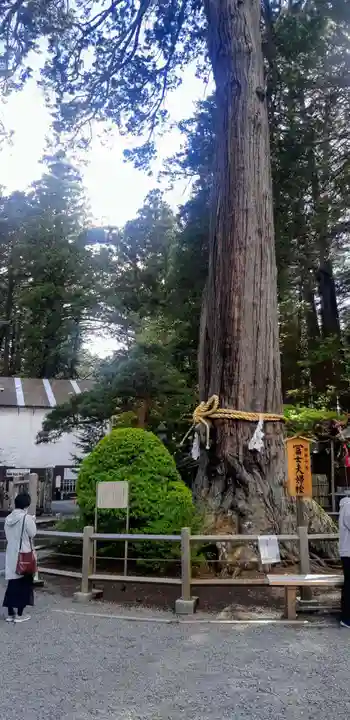 北口本宮冨士浅間神社の自然
