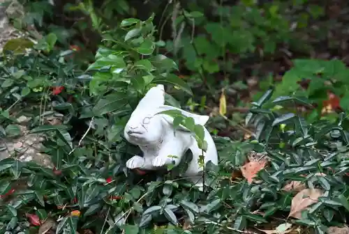 大御和神社の狛犬