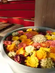 草加神社(埼玉県)