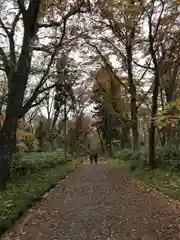 戸隠神社奥社の周辺