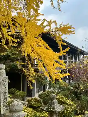 金刀比羅宮の{uncategorized: "未分類", other: "その他", undefined: "問題あり", building: "その他建物", grave: "お墓", sacred_gate: "鳥居", guardian: "狛犬", statue: "像", buddha: "仏像", history: "歴史", nature: "自然", garden: "庭園", animal: "動物", pagoda: "塔", temizu: "手水舎", mountain_gate: "山門・神門", sanctuary: "本殿・本堂", subordinate: "末社・摂社", art: "芸術", scenery: "景色", jizo: "地蔵", ema: "絵馬", goshuin: "御朱印", omikuji: "おみくじ", items: "授与品その他", amulet: "お守り", goshuincho: "御朱印帳", eats: "食事", festival: "お祭り", votive_dance: "神楽", shichigosan: "七五三参", wedding: "結婚式", experience: "体験その他", initially: "初詣", around: "周辺", anti_infection: "感染症対策"}