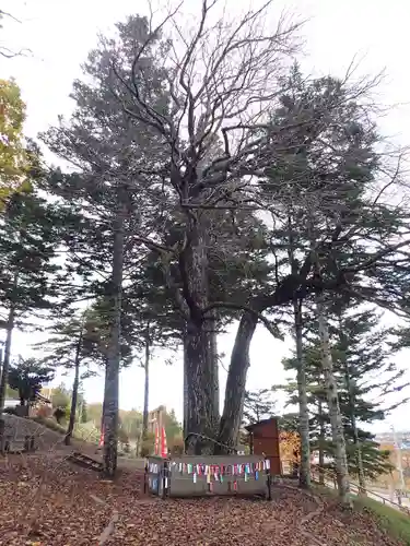 浦幌神社・乳神神社の自然