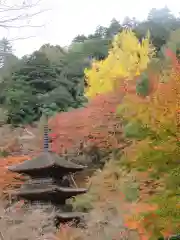 金剛院(京都府)