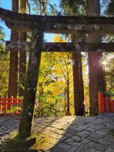 鳳来山東照宮(愛知県)