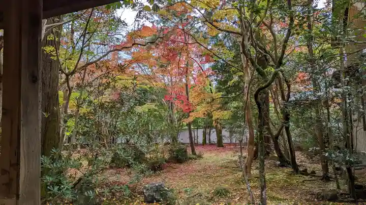蓮華寺(洛北蓮華寺)(京都府)