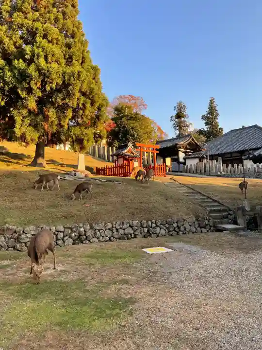 東大寺 二月堂の{uncategorized: "未分類", other: "その他", undefined: "問題あり", building: "その他建物", grave: "お墓", sacred_gate: "鳥居", guardian: "狛犬", statue: "像", buddha: "仏像", history: "歴史", nature: "自然", garden: "庭園", animal: "動物", pagoda: "塔", temizu: "手水舎", mountain_gate: "山門・神門", sanctuary: "本殿・本堂", subordinate: "末社・摂社", art: "芸術", scenery: "景色", jizo: "地蔵", ema: "絵馬", goshuin: "御朱印", omikuji: "おみくじ", items: "授与品その他", amulet: "お守り", goshuincho: "御朱印帳", eats: "食事", festival: "お祭り", votive_dance: "神楽", shichigosan: "七五三参", wedding: "結婚式", experience: "体験その他", initially: "初詣", around: "周辺", anti_infection: "感染症対策"}