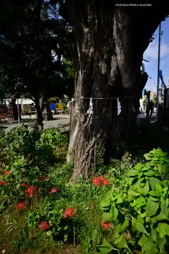 磐井神社(東京都)